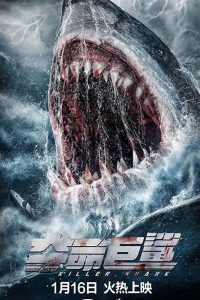 Download Killer Shark (2021) Dual Audio {Hindi-Chinese} WEB-DL 480p [220MB] || 720p [620MB] || 1080p [1GB]