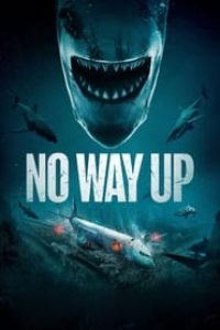 Download No Way Up (2024) Dual Audio {Hindi-English} WEB-DL 480p [380MB] || 720p [850MB] || 1080p [2GB]