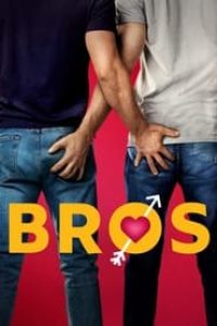 Download Bros (2022) Dual Audio (Hindi-English) Esubs Bluray 480p [390MB] || 720p [1GB] || 1080p [2.6GB]