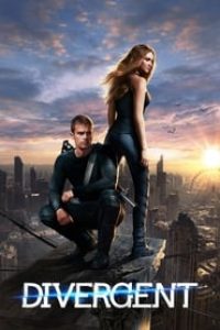 Download Divergent (2014) Dual Audio {Hindi-English} 480p [500MB] || 720p [1.3GB] || 1080p [3GB]