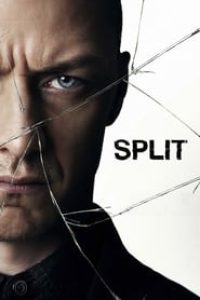 Download Split (2016) Dual Audio {Hindi-English} 480p [400MB] || 720p [1.1GB] || 1080p [2.3GB]