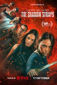 Download The Shadow Strays (2024) Dual Audio (Hindi-English) Msubs Web-Dl 480p [517MB] || 720p [1.4GB] || 1080p [7GB]