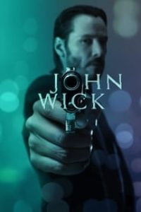 Download John Wick (2014) Dual Audio {Hindi-English} Bluray 480p [331MB] || 720p [910MB] || 1080p [2.5GB]