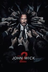 Download John Wick Chapter 2 (2017) Dual Audio {Hindi-English} 480p [407MB] || 720p [1.1GB] || 1080p [2.6GB]