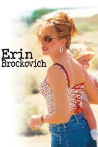 Download Erin Brockovich (2000) Dual Audio {Hindi-English} BluRay 480p [546MB] || 720p [1.3GB] || 1080p [2.6GB]