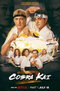 Download Cobra Kai (Season 6) [S06E15 Added] Dual Audio {Hindi-English} WeB-DL 480p [130MB] || 720p [350MB] || 1080p [2GB]